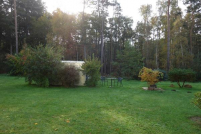 Küstenwald - Ferienzimmer kleiner Eikkater 8, Gelbensande